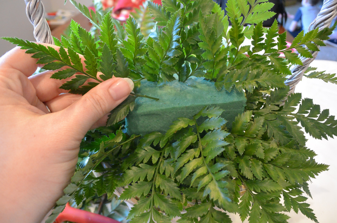 fern being placed into foam