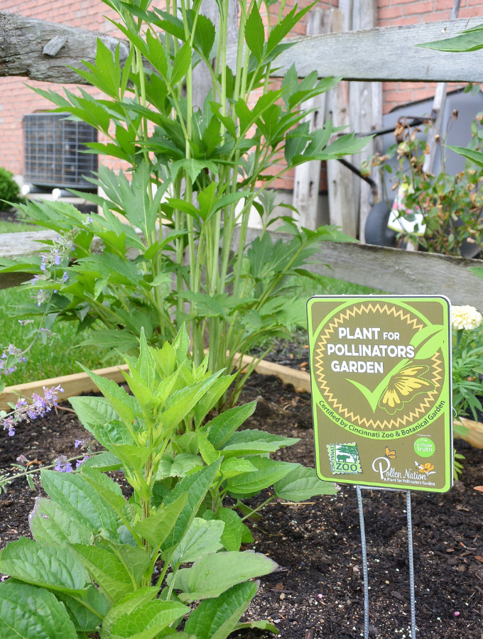plant for pollinators sign in new pollinator garden