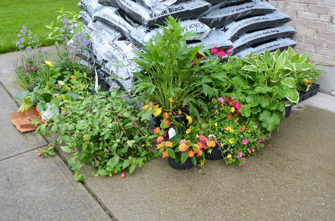 plants for garden sitting with bagged mulch