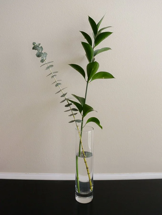 eucalyptus and rustica in a bud vase