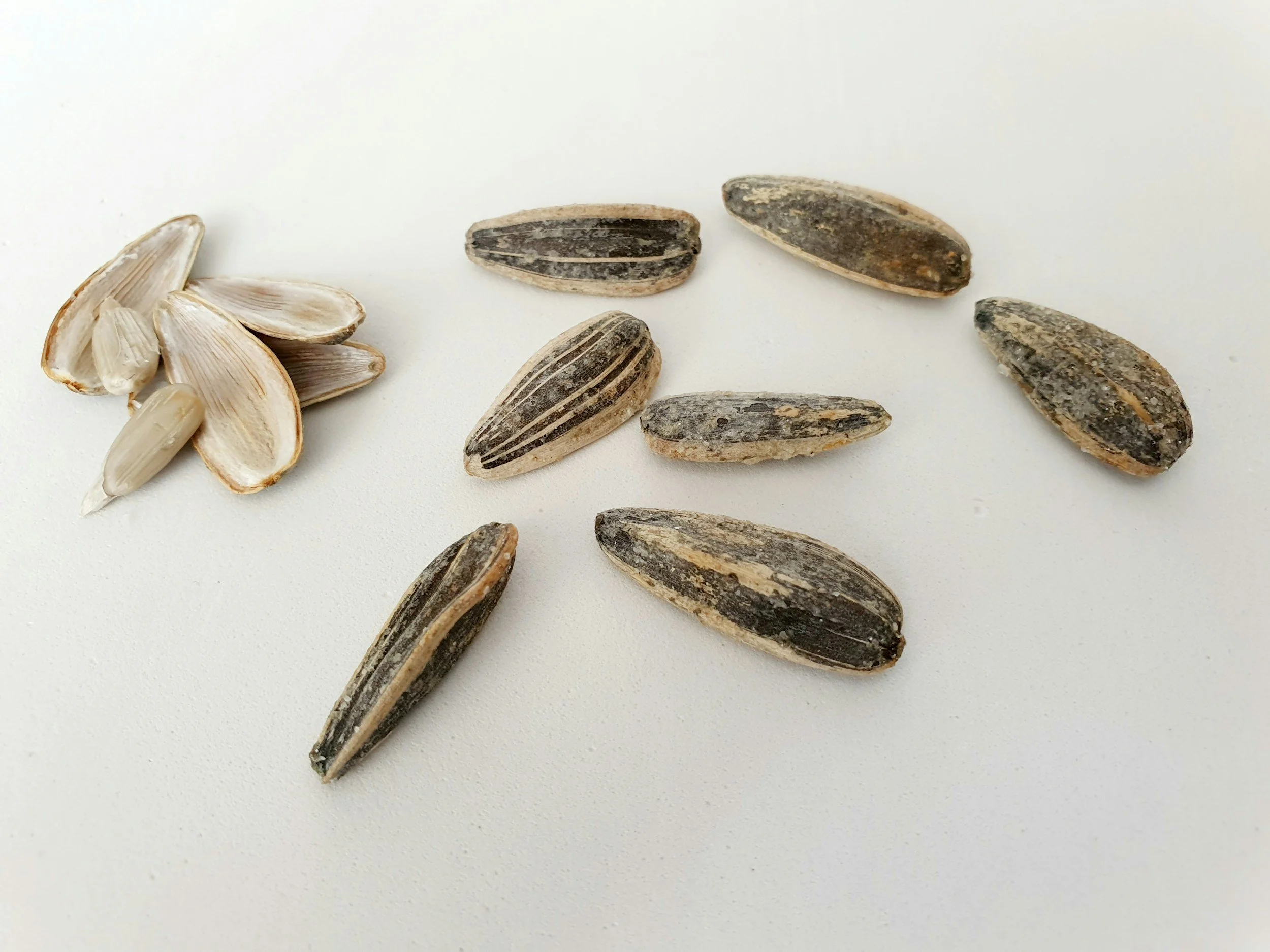seeds laying on a white surface