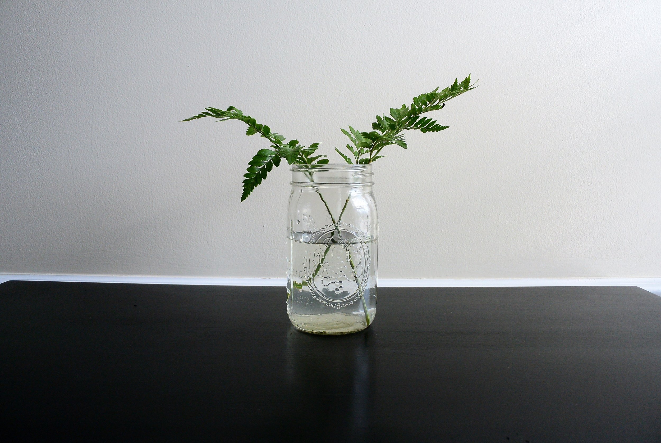 mason jar with water in it and two pieces of greenery