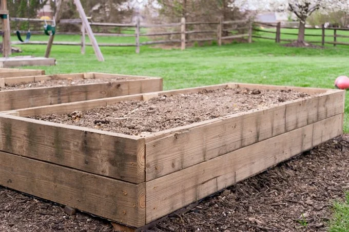 Raised garden bed in a backyard.
