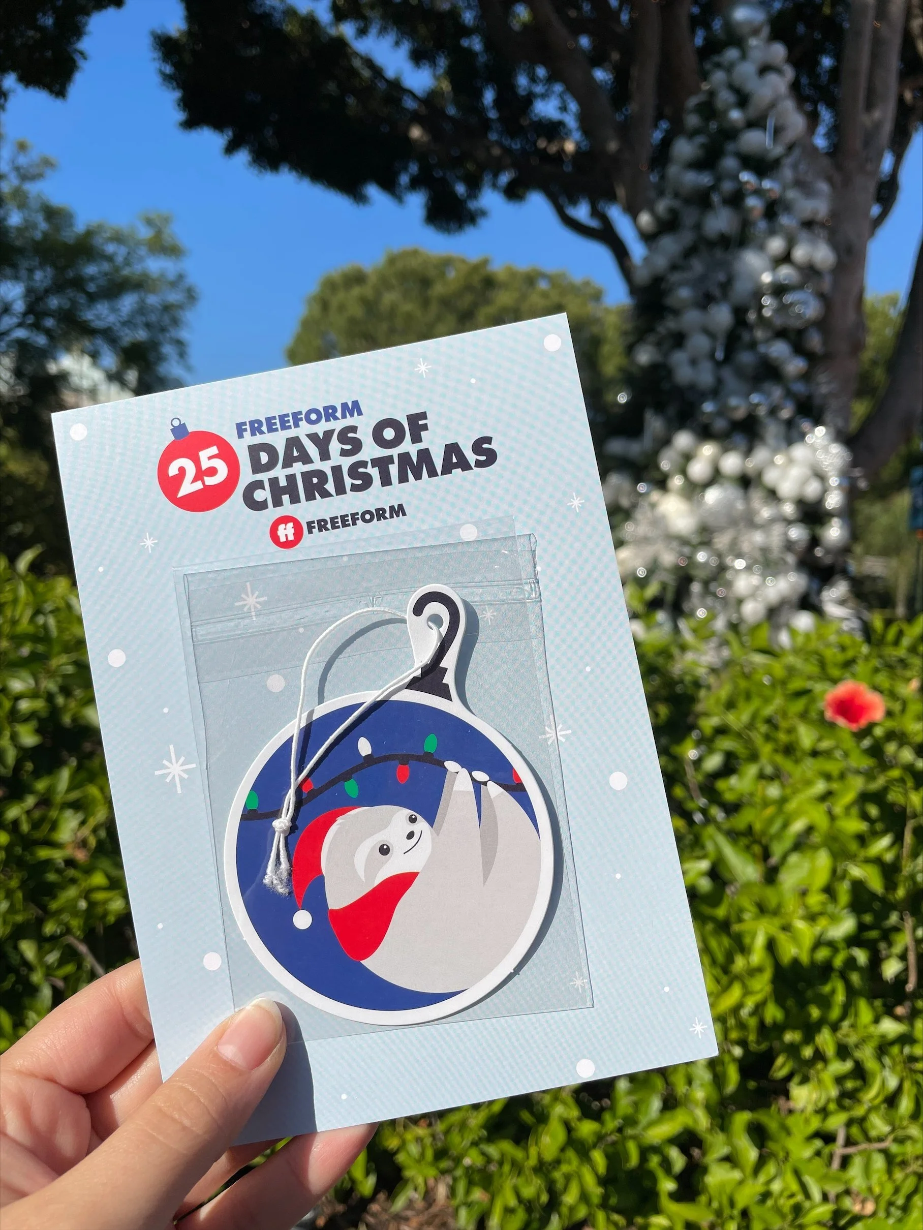 aa website - 25doc ornament.jpeg