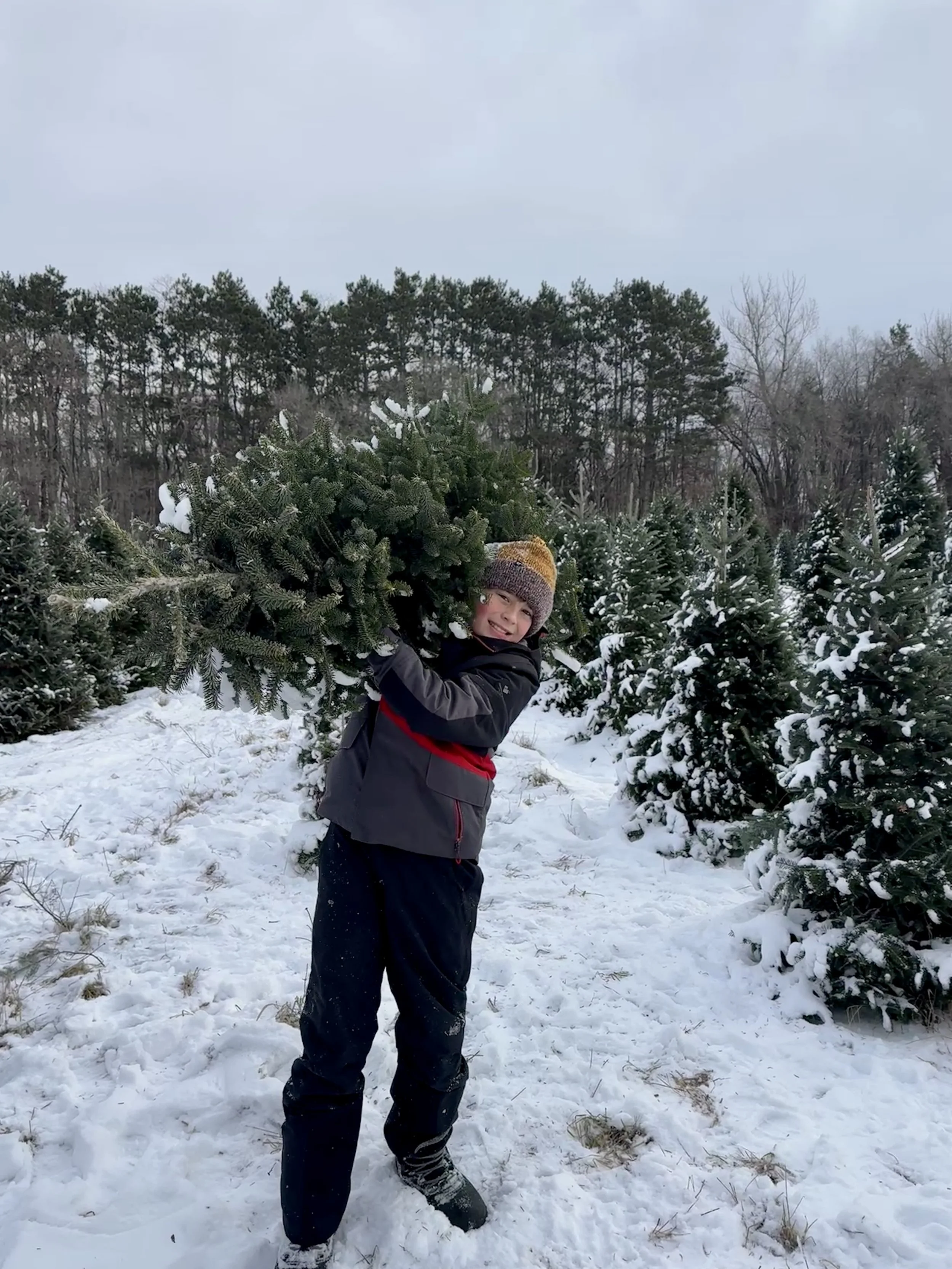 Sustainable Resilience: Building Mental &amp; Emotional Stamina in a High-Pace World