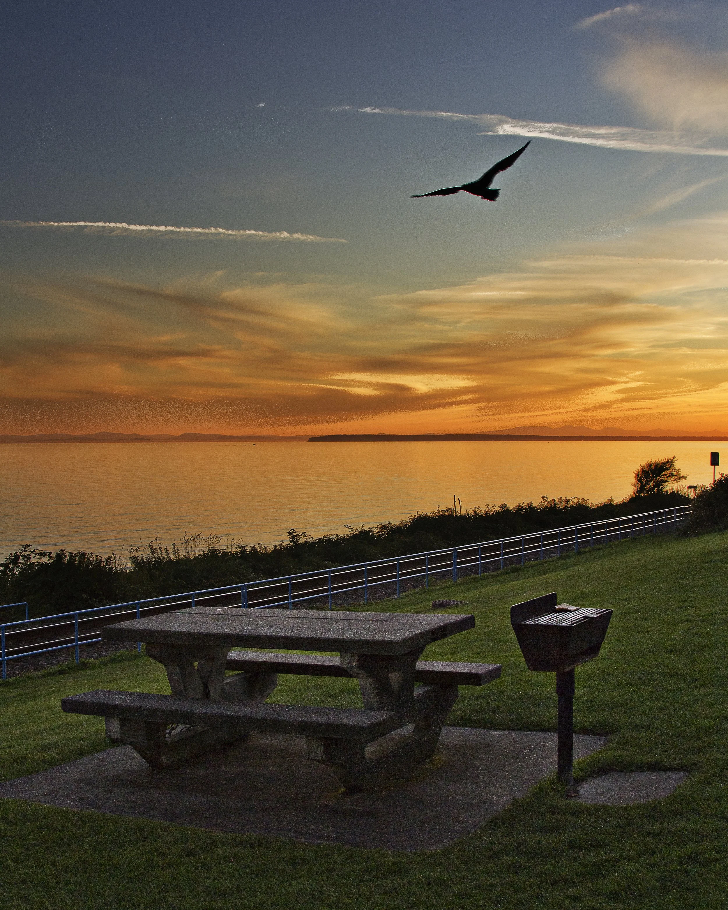parkbench8x10nowtmk.jpg