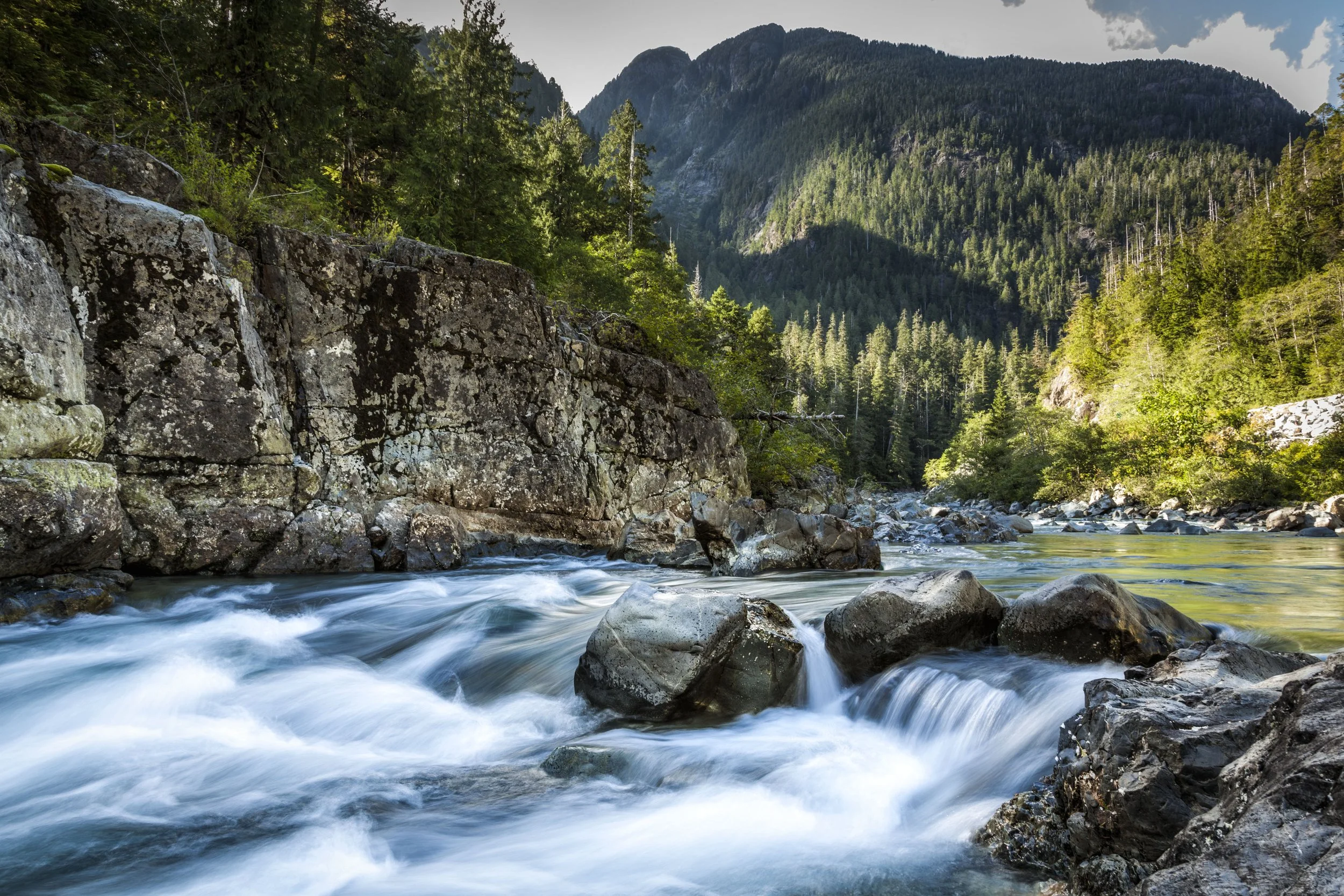 _MG_6339-Edit.jpg