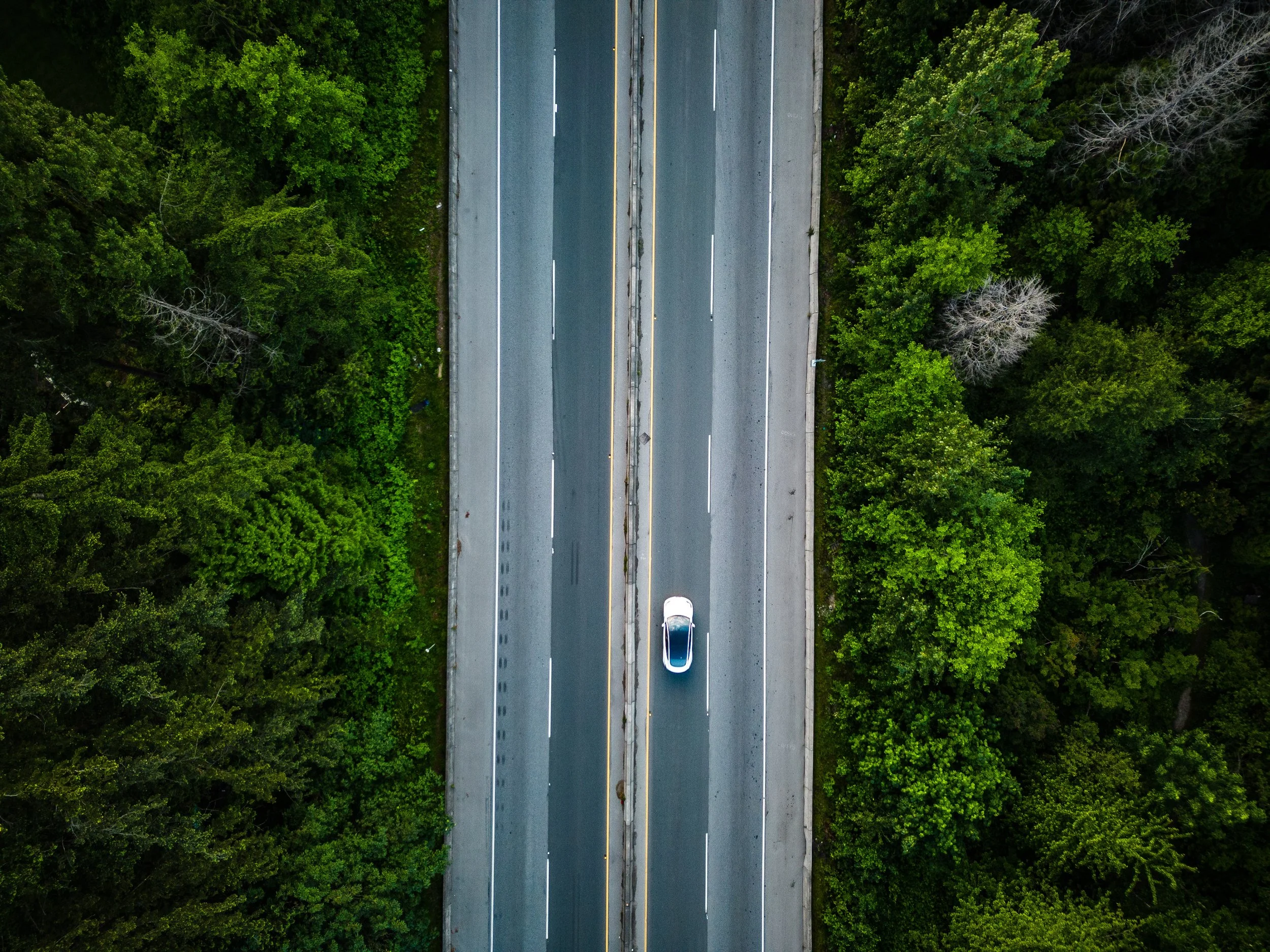 DJI_0098.jpg