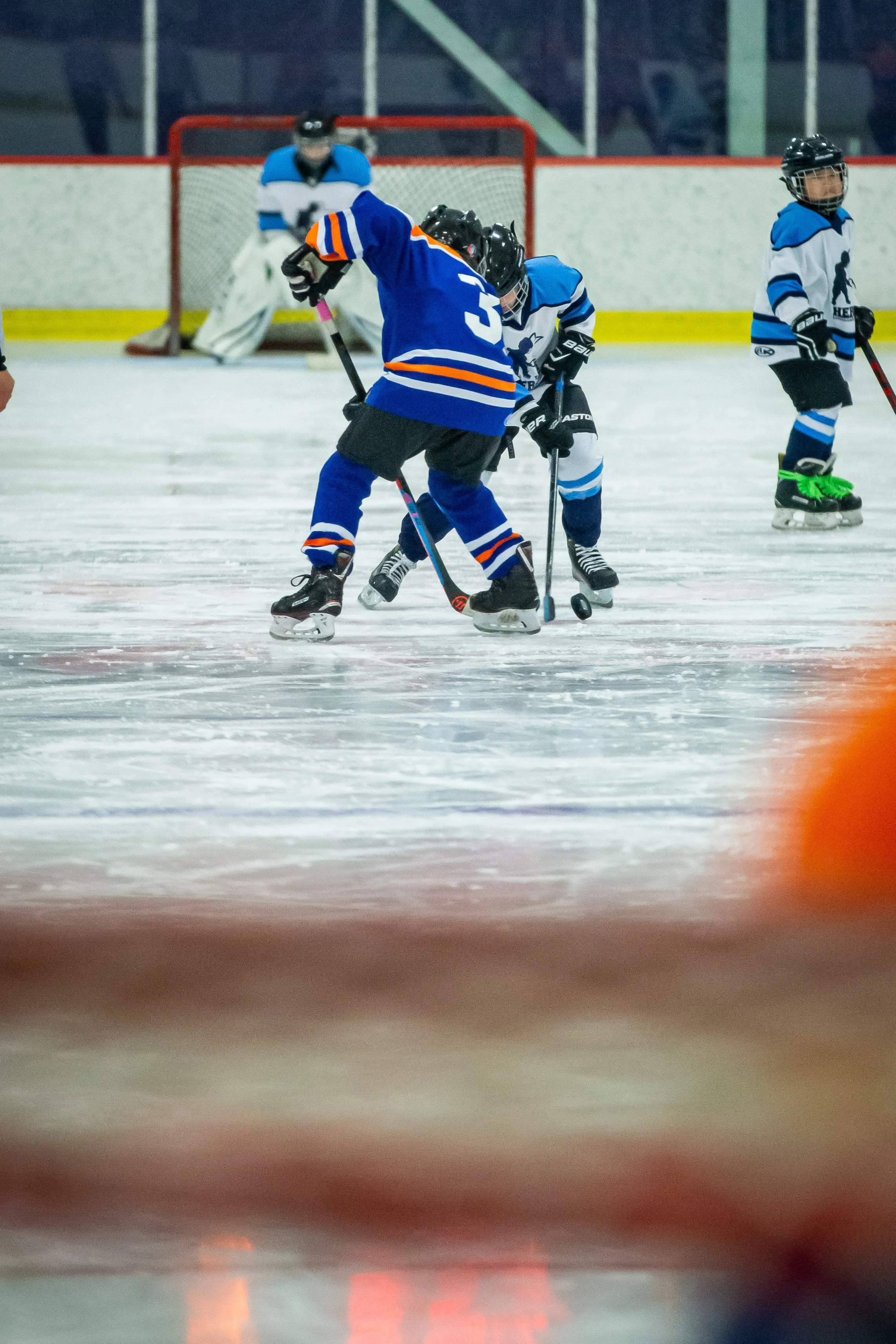 A09Z9052.jpg