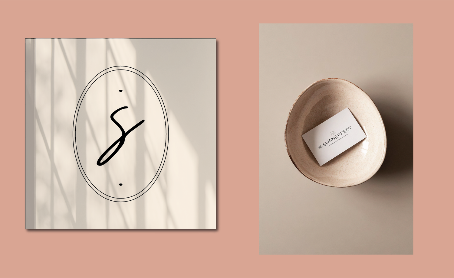 The Swan Effect brand imagery 13