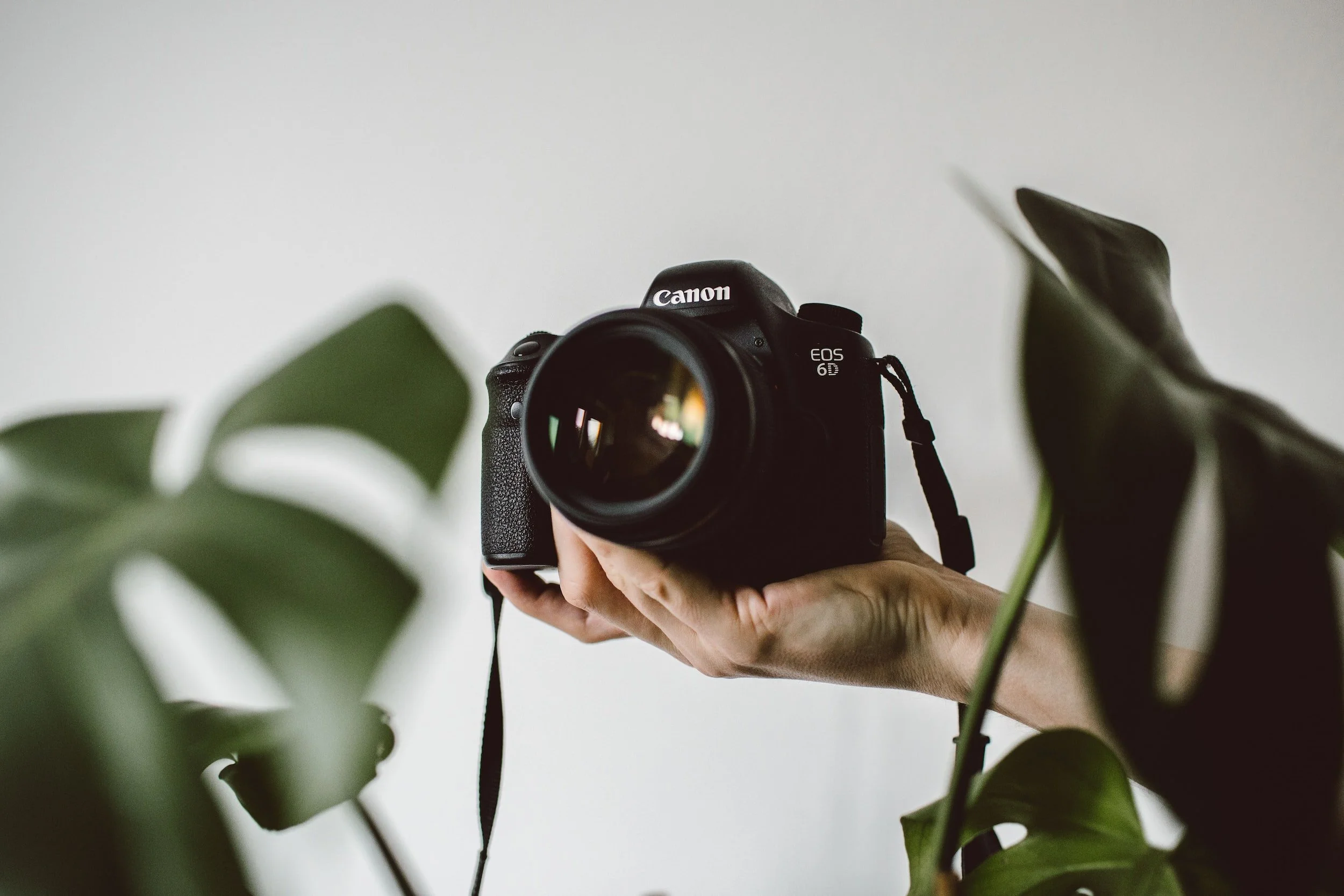 Yameli & Co. brand imagery 0