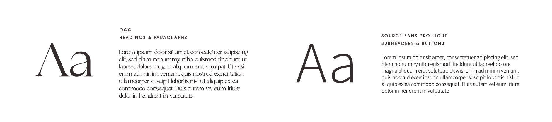 Annie Bachman typography