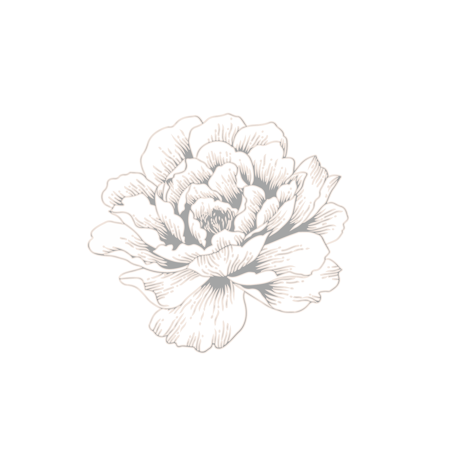 Mari Roberts brand imagery 10