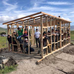 Untitled design (19).png