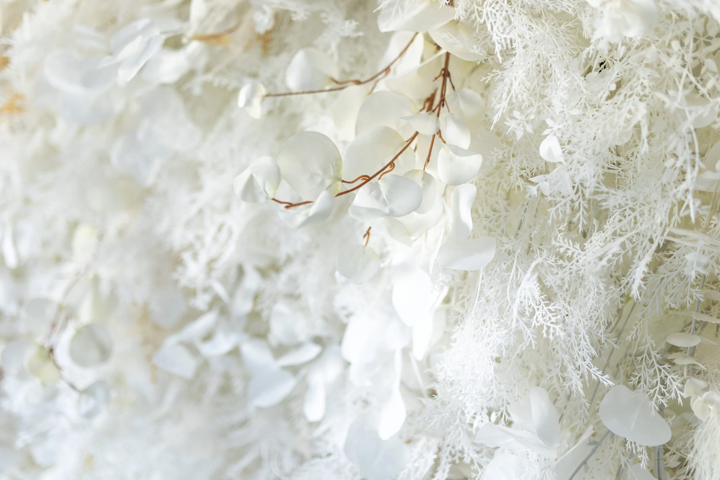 Blooming Images