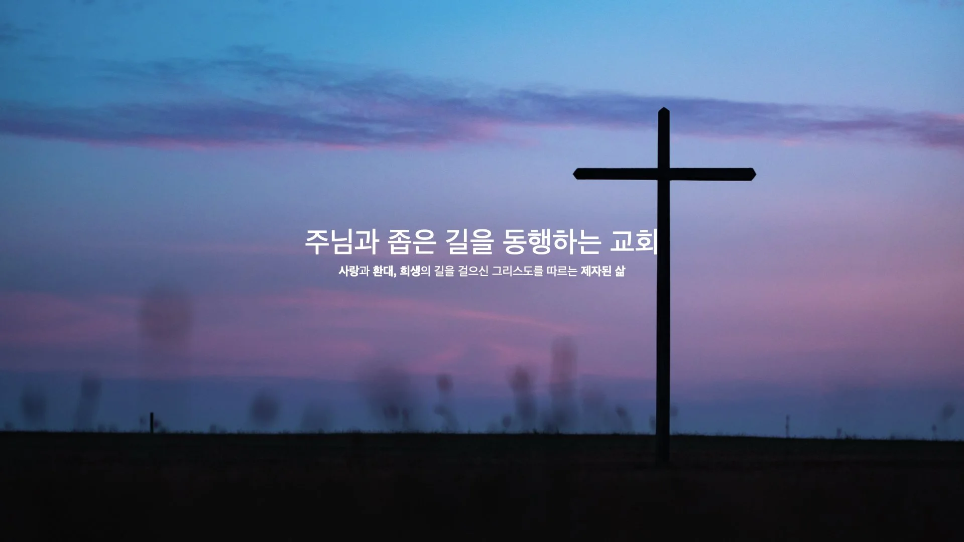 Thumbnail.005.jpeg