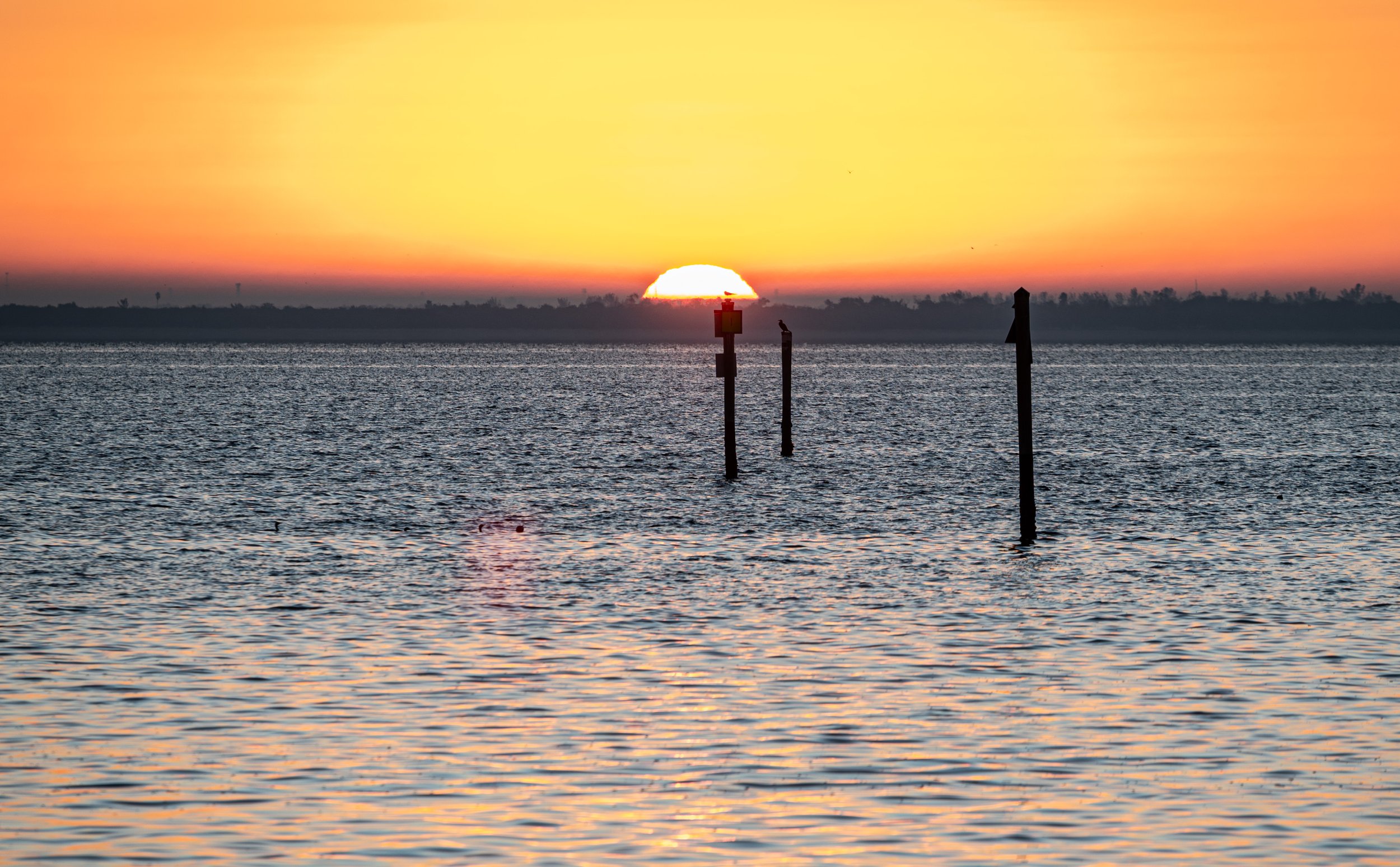 2025-26 송구영신