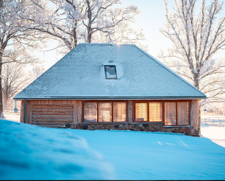 Forest hike with horseriding