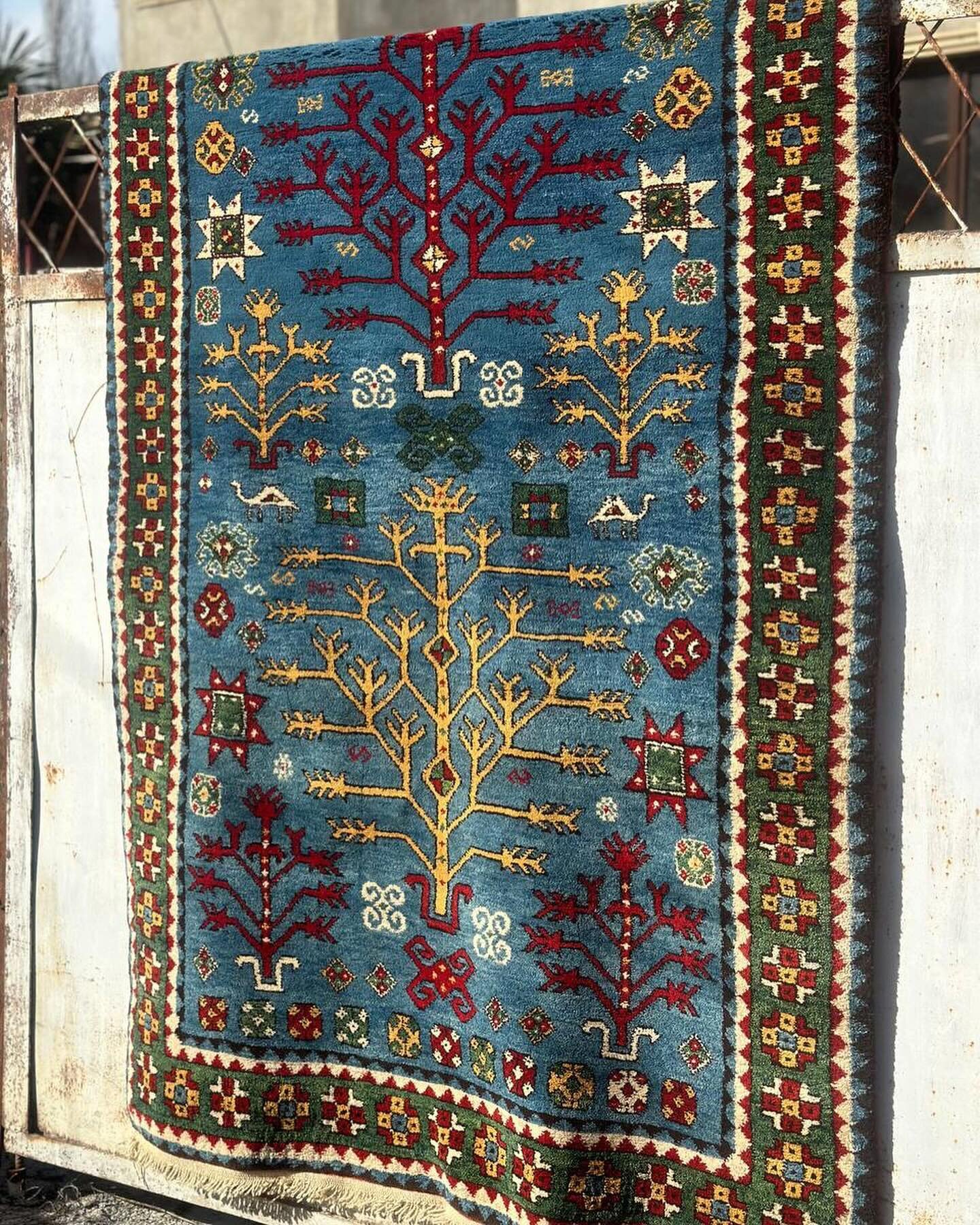 Tarlan&rsquo;s blue Tree of Life in the spring sun, woven in Karachop (Iormughanlo) through the months of winter 💙💙💙 dm for details or check our site. 2.24 x 1.4 m 🌱