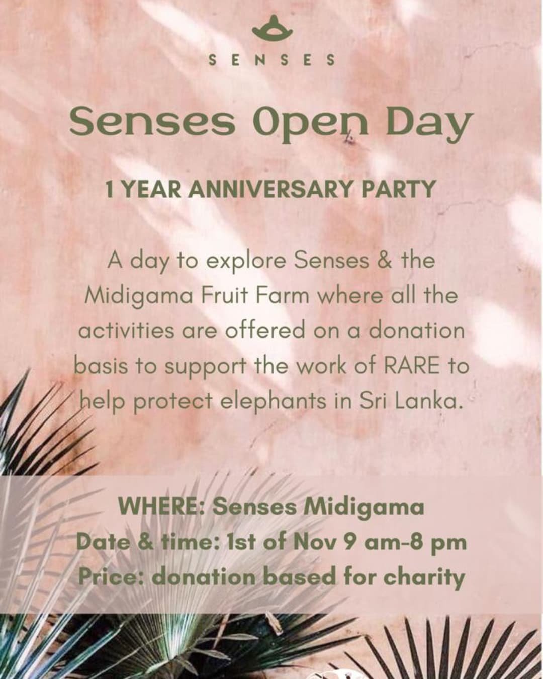 If you are down south drop in for a wonderful say of yoga and help elephants.. With @senses.srilanka