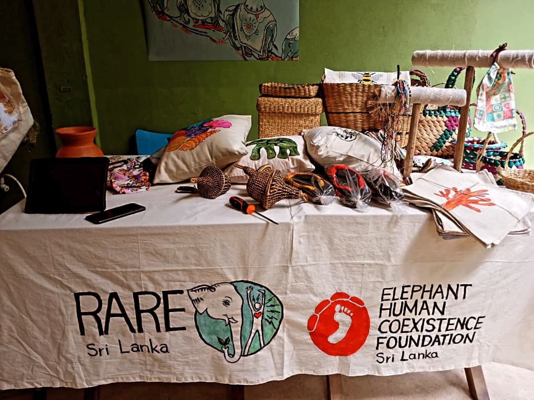 If u are down south join us at @senses.srilanka 4pm to discuss about elephants .. Our fundraising boutique is open from 9am till 5pm.. Our activists are available for a chat whole day..