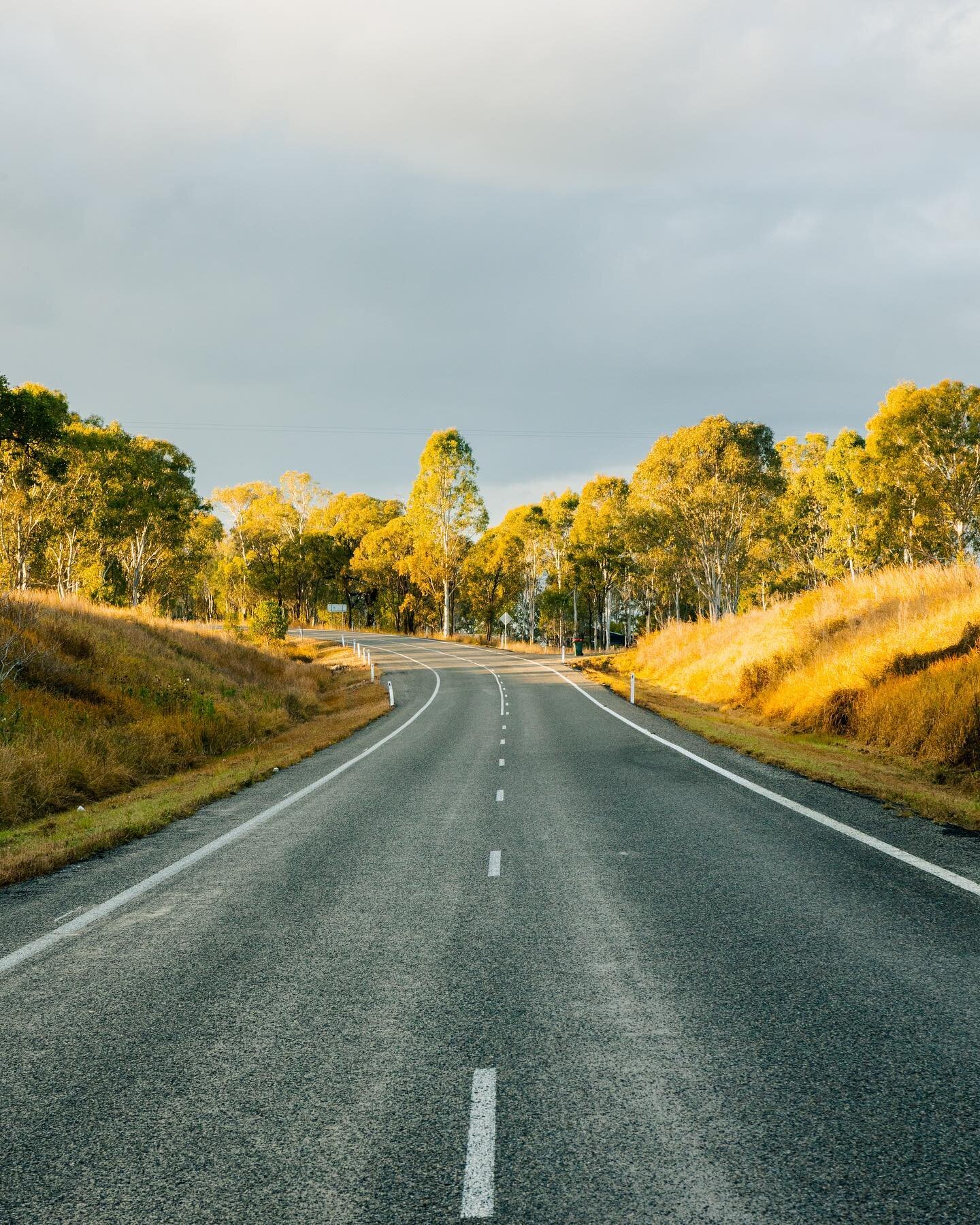 A couple of vertical shots from the same area between Biggenden and Gympie from my road trip yesterday.
.
.
.
.
.

#photography #landscapephotography #landscape #povphotography #youtube #canonaustralia #canonphotography #canonr6 #photooftheday #sunri