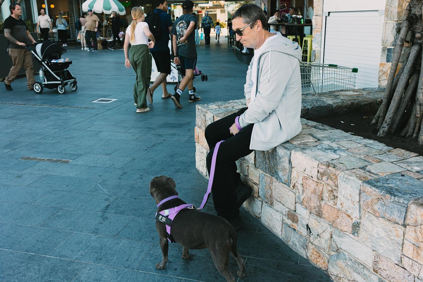 Man&rsquo;s best friend 
.
.
.
.
.

#photooftheday #photography #streetphotography #street_photography #street_killerz #street_in_motion #streetphotographers #street_photo_daily #canonaustralia #canonr6 #canonphotography #opticalwander #cpphotos #rao