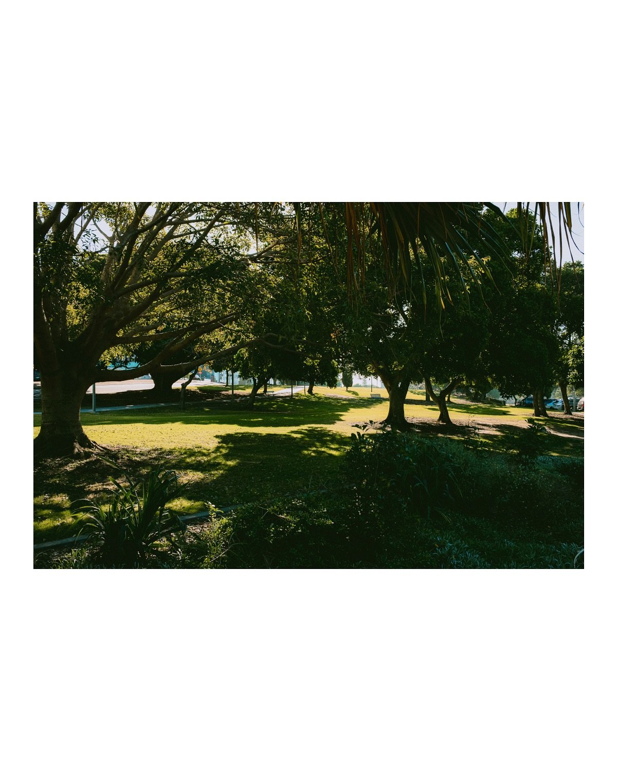 The quiet places
📷 Fujifilm X100V
.
.
.
.
#photography #mundanebeauty #stilllifephotography #fujifilm #fujitilmx100v #fujifilmaustralia #fujifilmau #streetphotography #stilllife #urbanlandscape #aestheticphotography