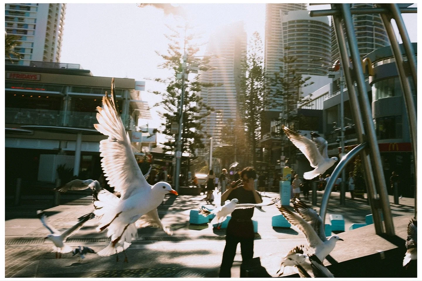 Gold Coast Scenes No.106
📷 @fujifilmx_au X100V + WCL-X100ii