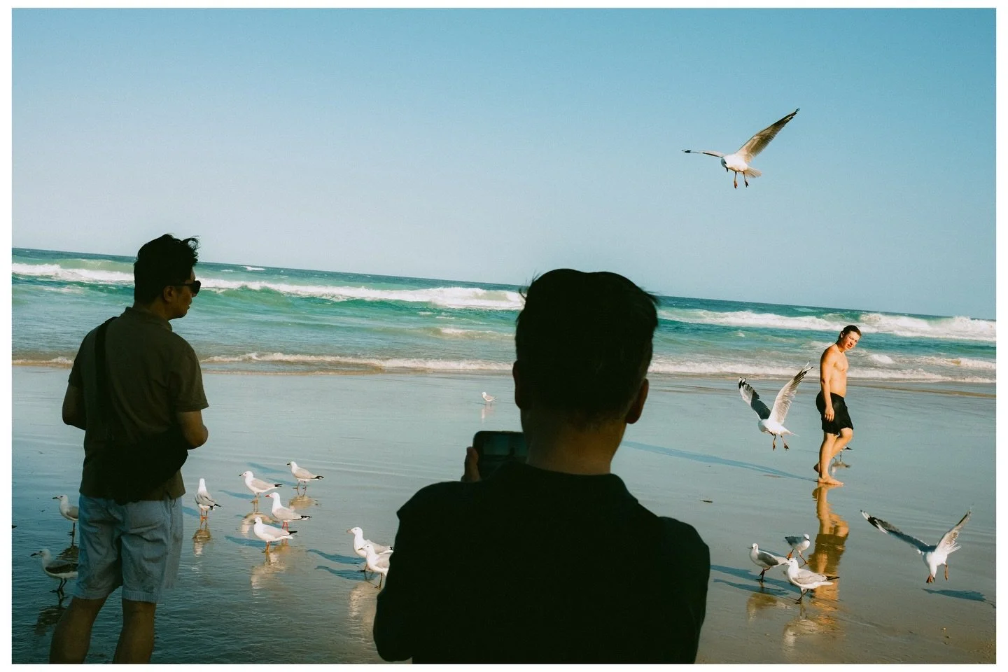 Gold Coast Scenes No.135

📷 @fujifilmx_au X100V