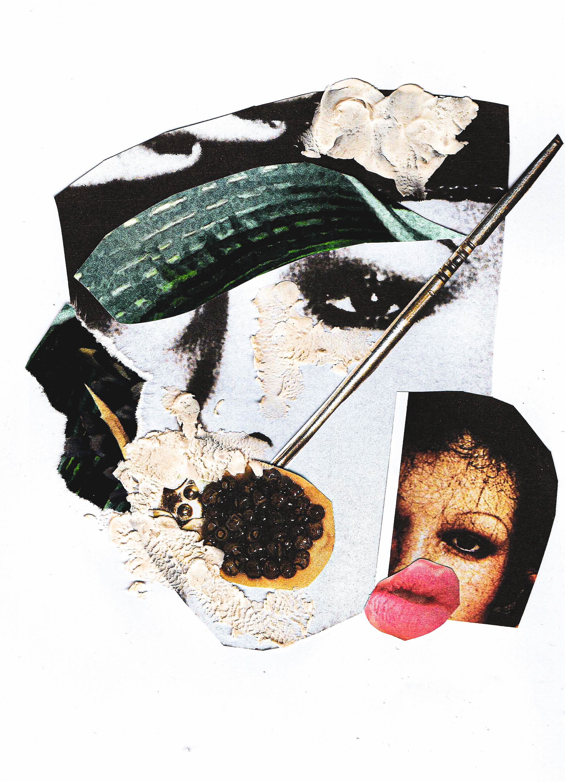 lips_collage_3.jpg