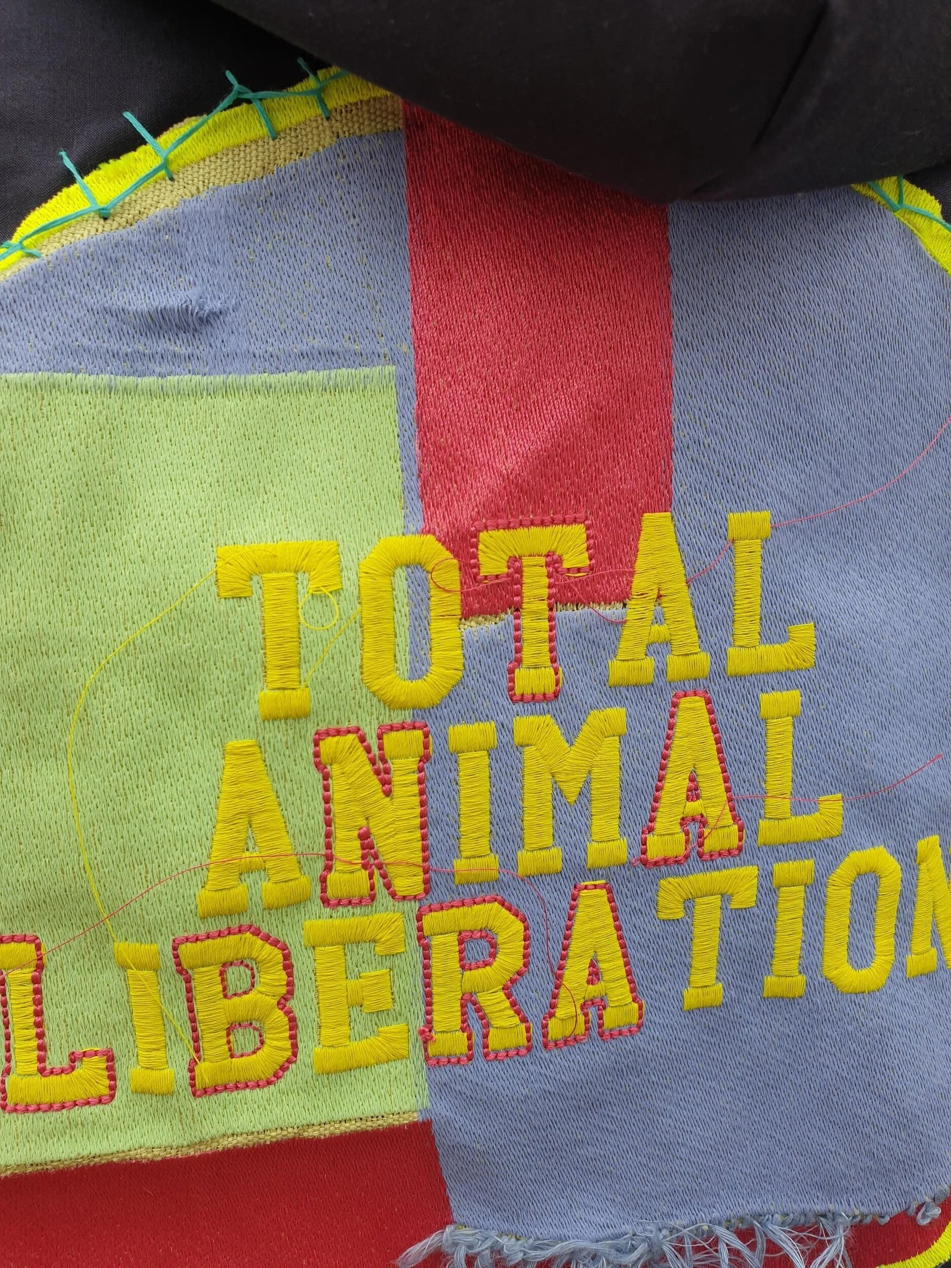 GFF Talent: Harriet Kate Slavin Wants Total Animal Liberation