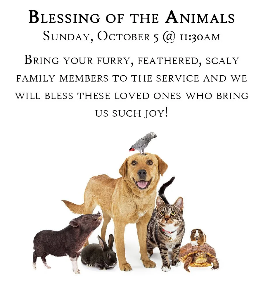 Blessing of the Animals