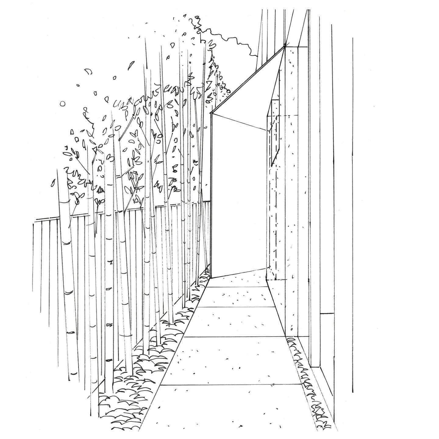 Sketches of the entry into Canopy House, the framed view of the courtyard and the connection between living spaces and garden areas. 
.
.
.
.
.
#architecture #architect #archlovers #sydneyarchitecture #australianarchitecture #architecturehunter #luxu
