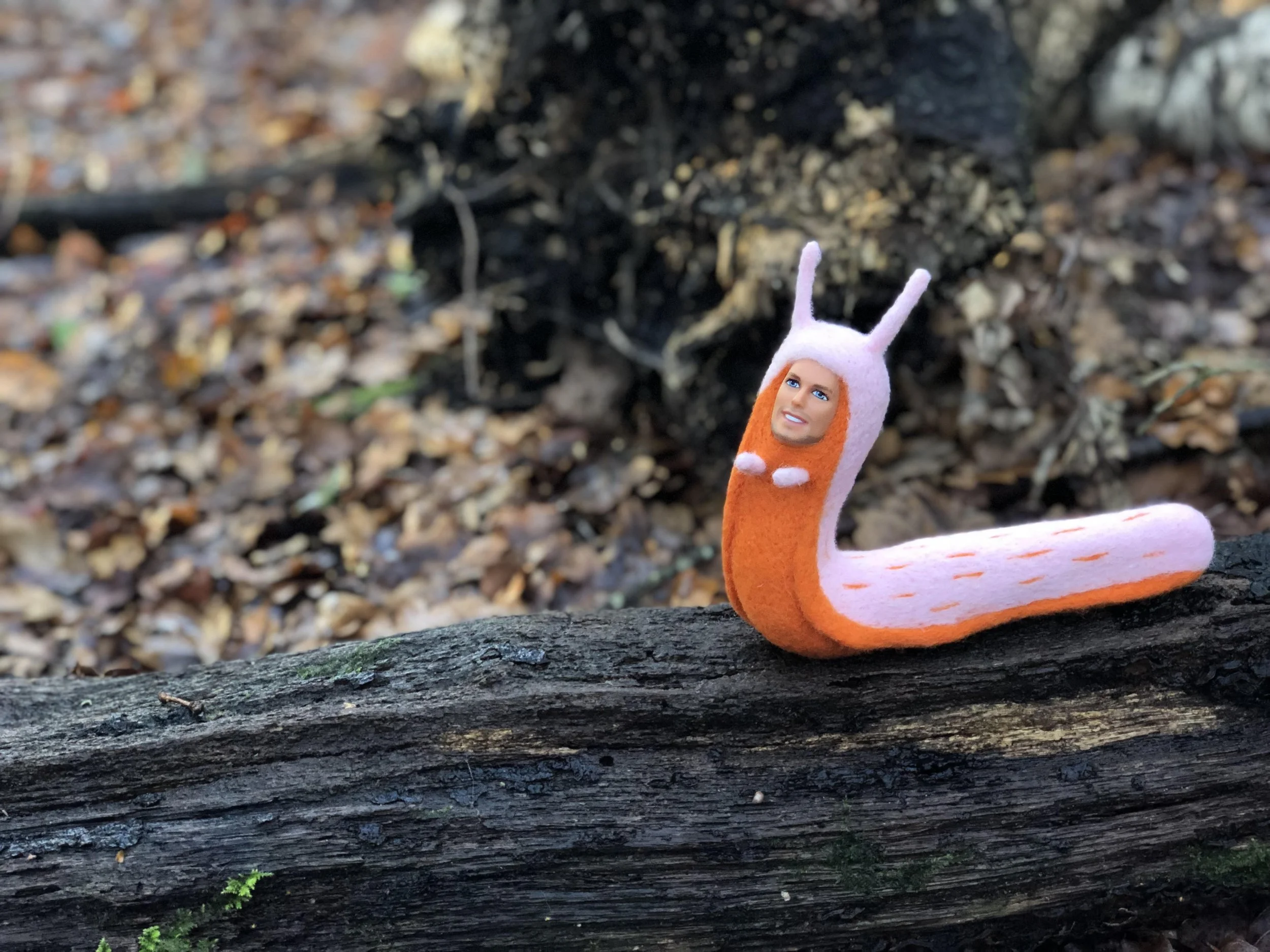 slug4.jpg
