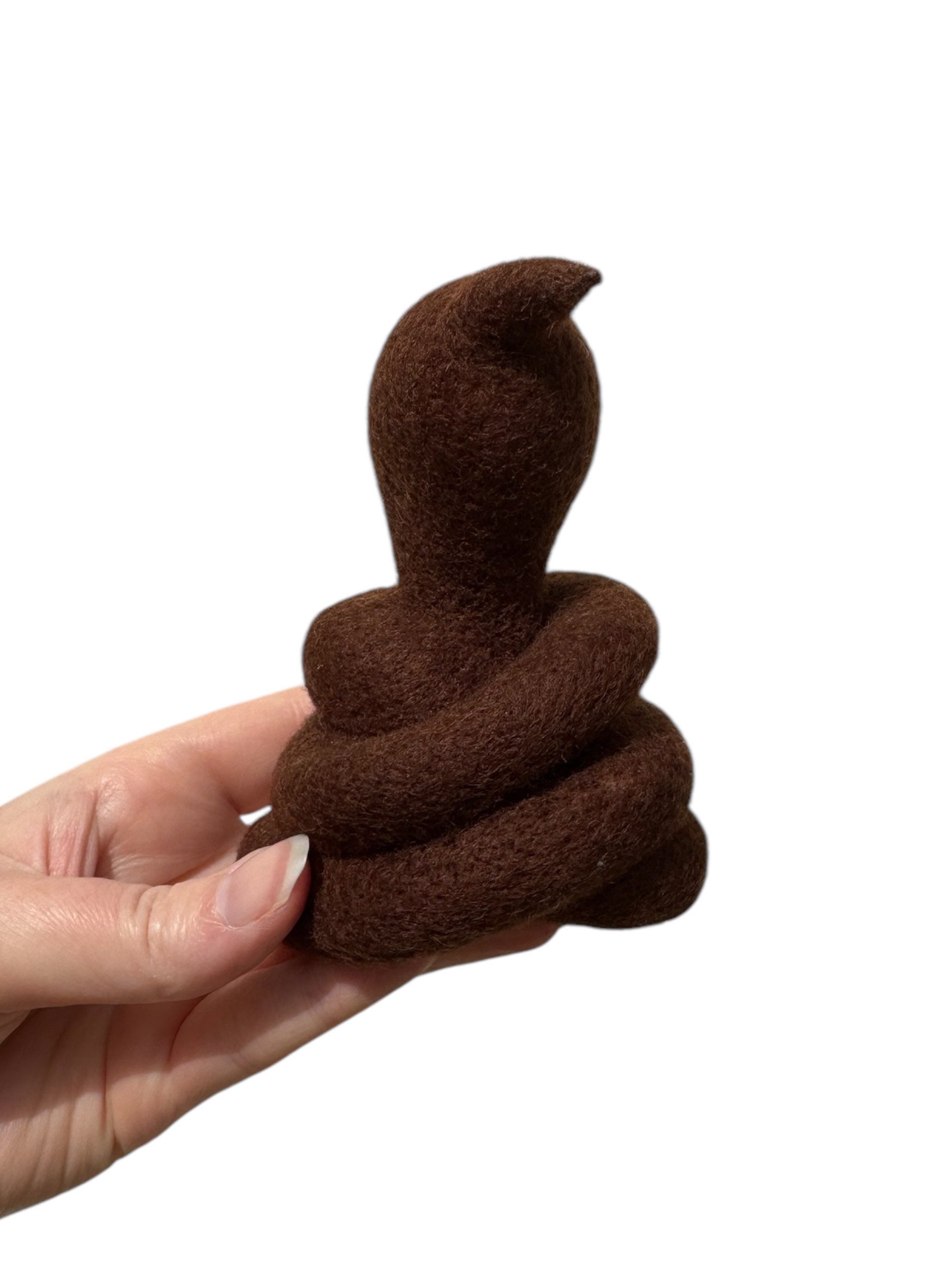 poo1.jpeg