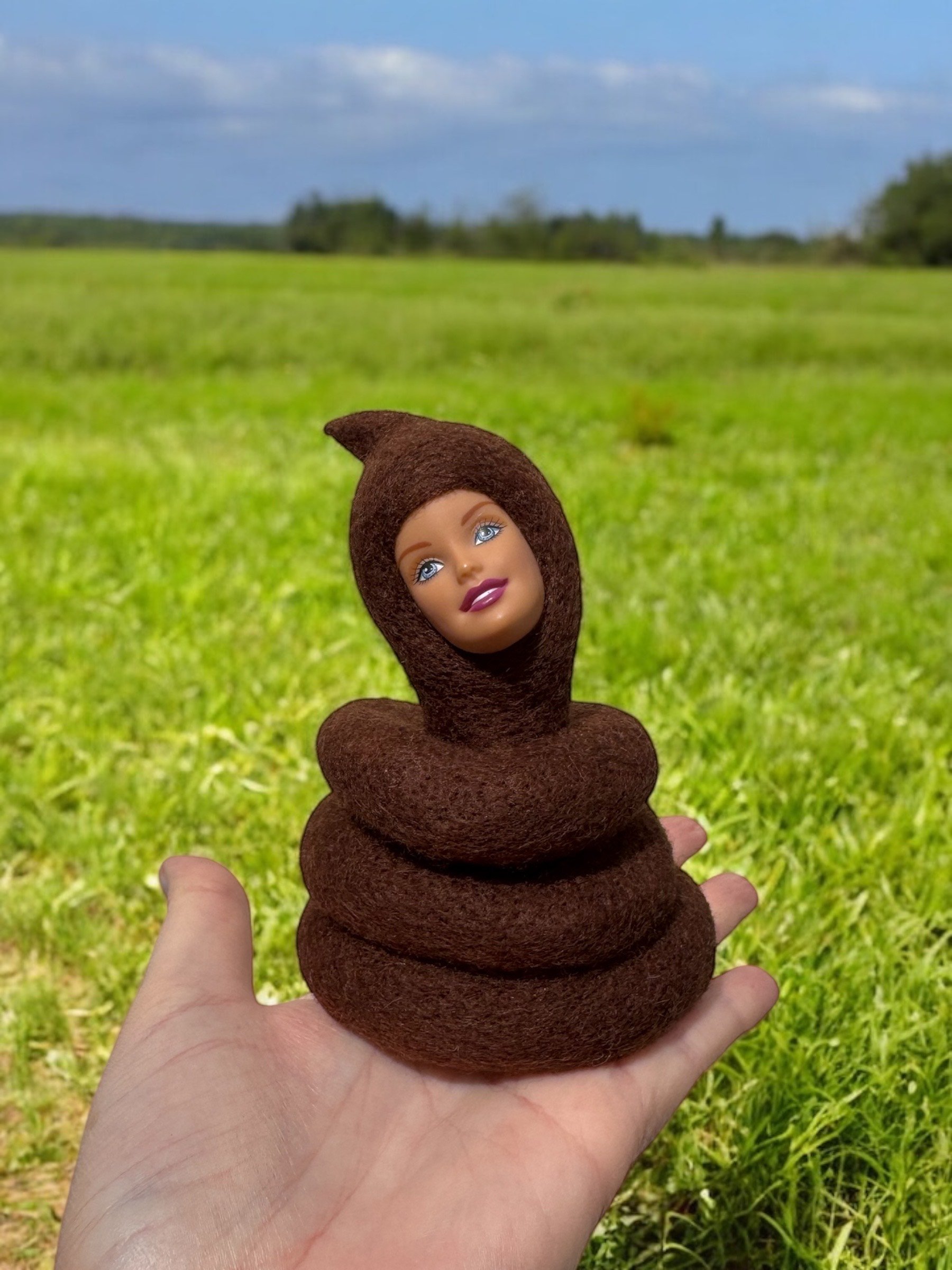 poo3.jpeg