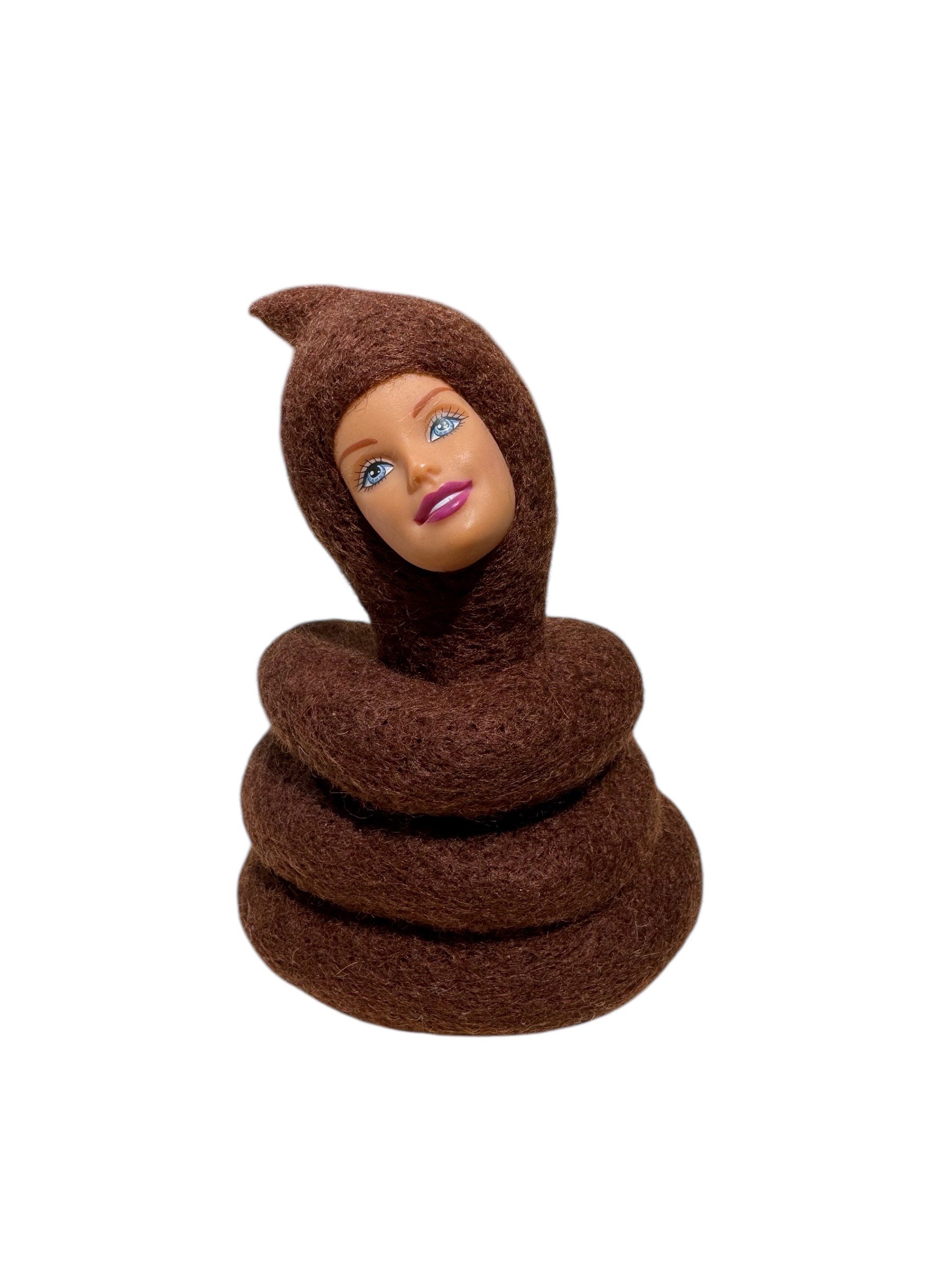 poo4.jpeg