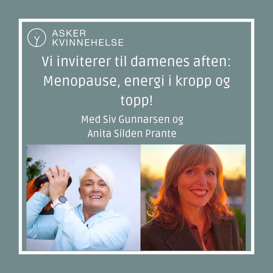 Damenes aften.png