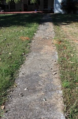6145864.jpg