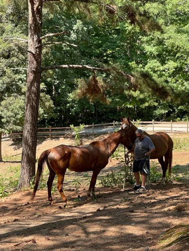 Len Garrison with horses