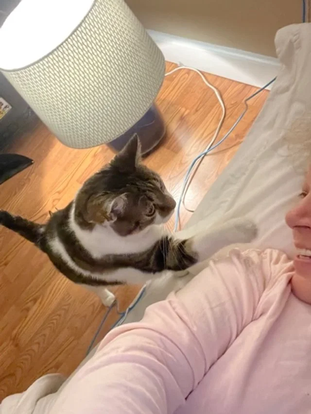 Cat waking Judy up