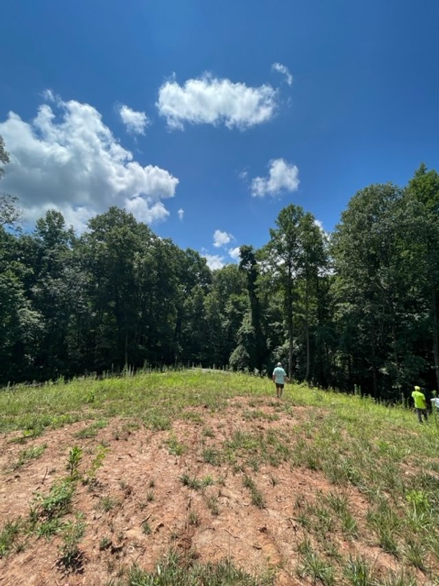 The open fields before a forest