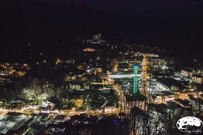 2500056.jpg