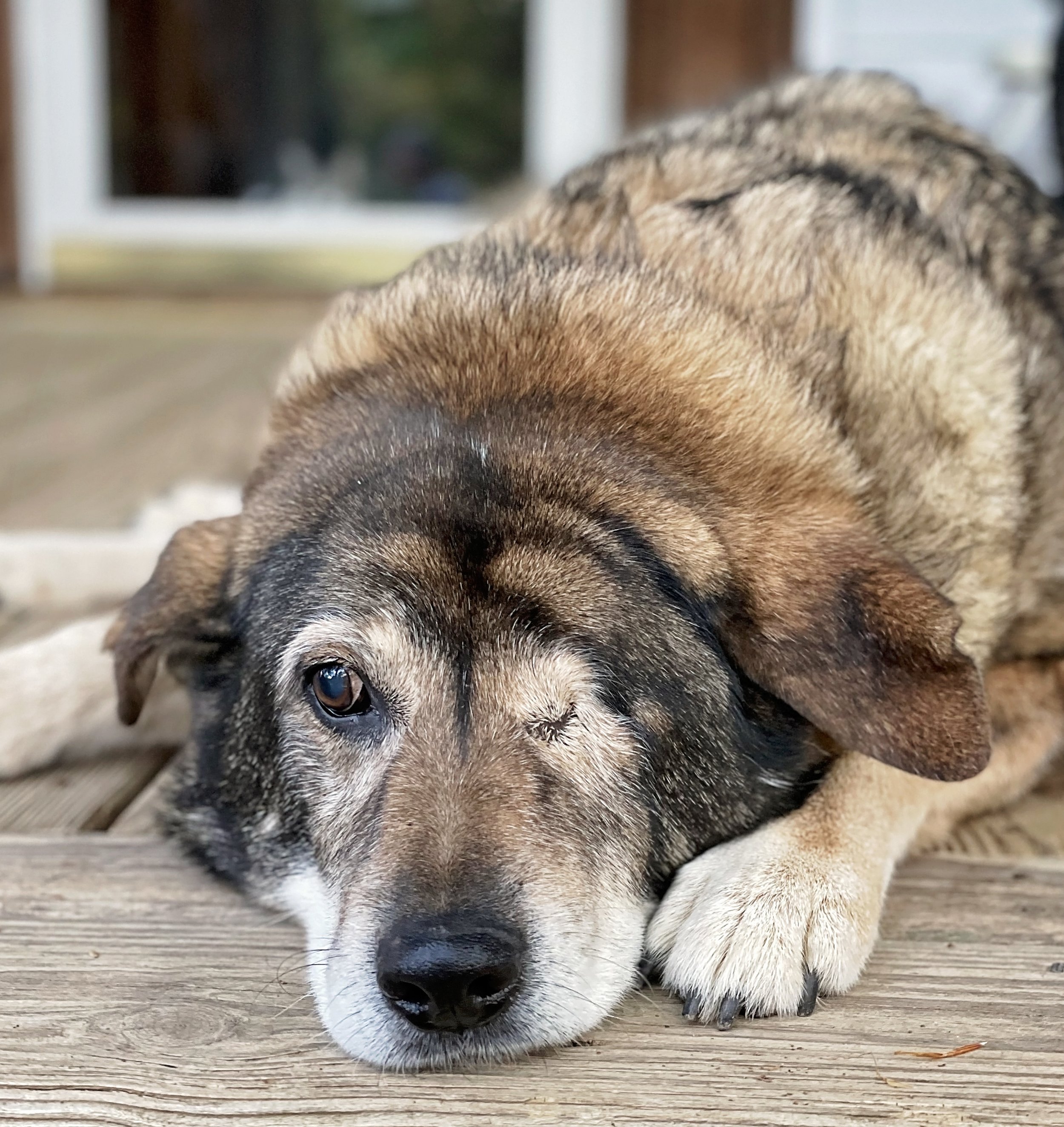 The window to your soul