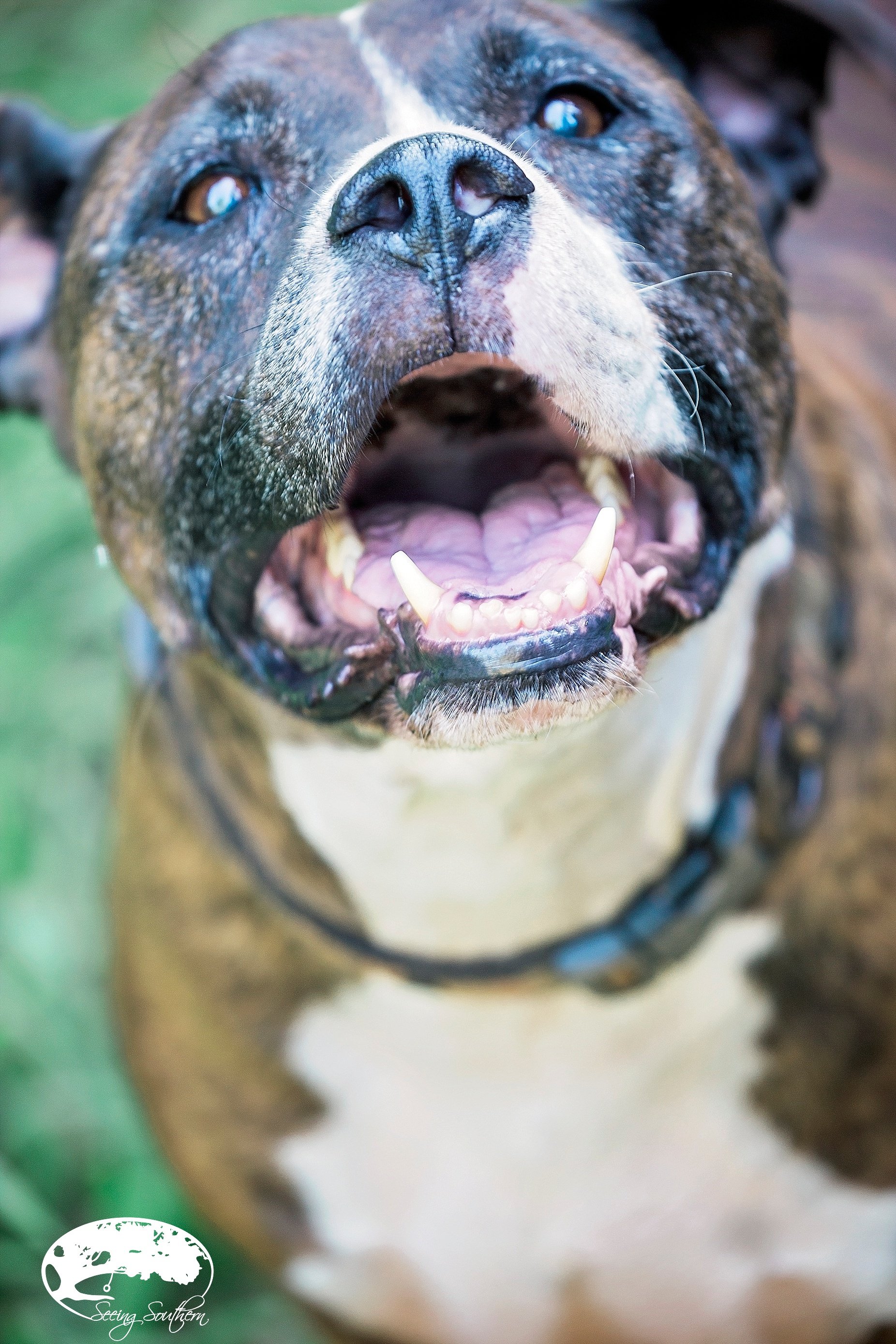 Some things fill your heart without trying