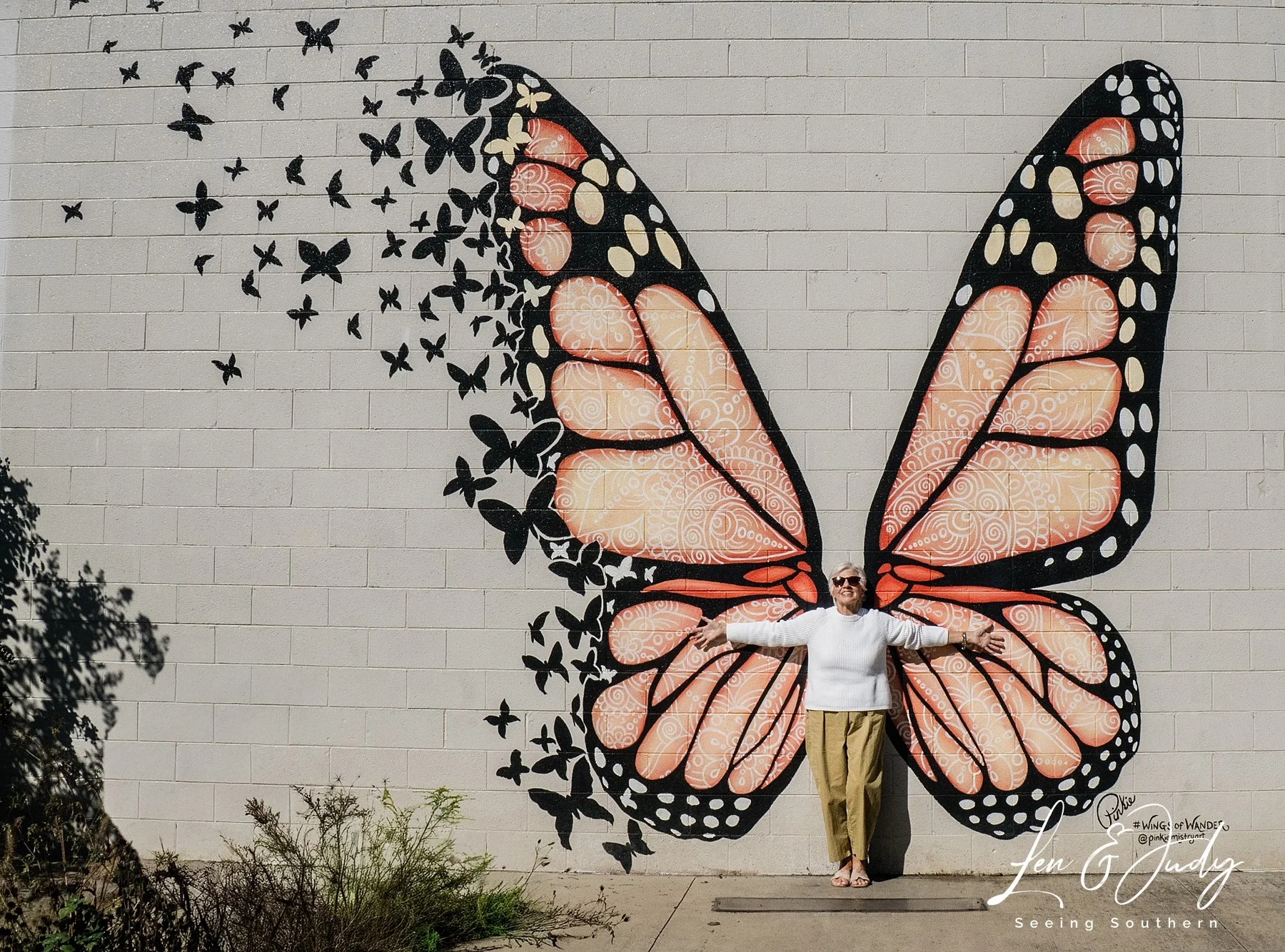 Wings of Wonder in Sevierville