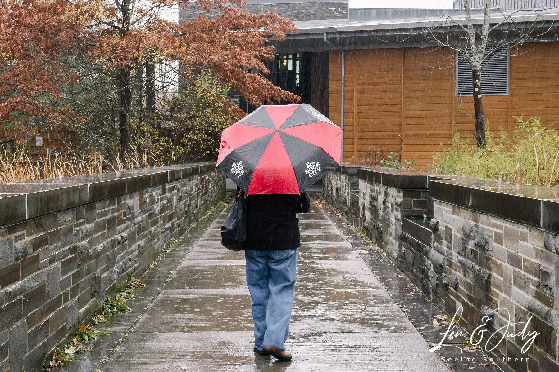 Person walking on rain-soaked sidewalk holding a red and black umbrella, with trees and a building in the background on a rainy day.