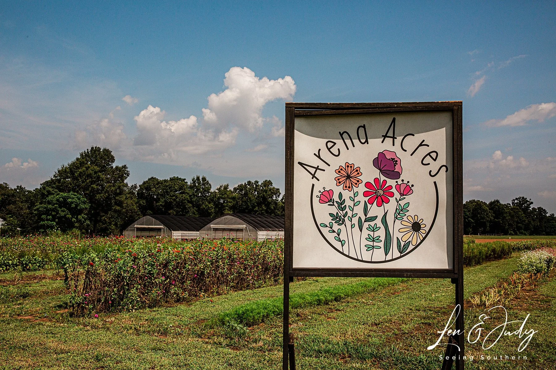 24 hours in Perry, Georgia