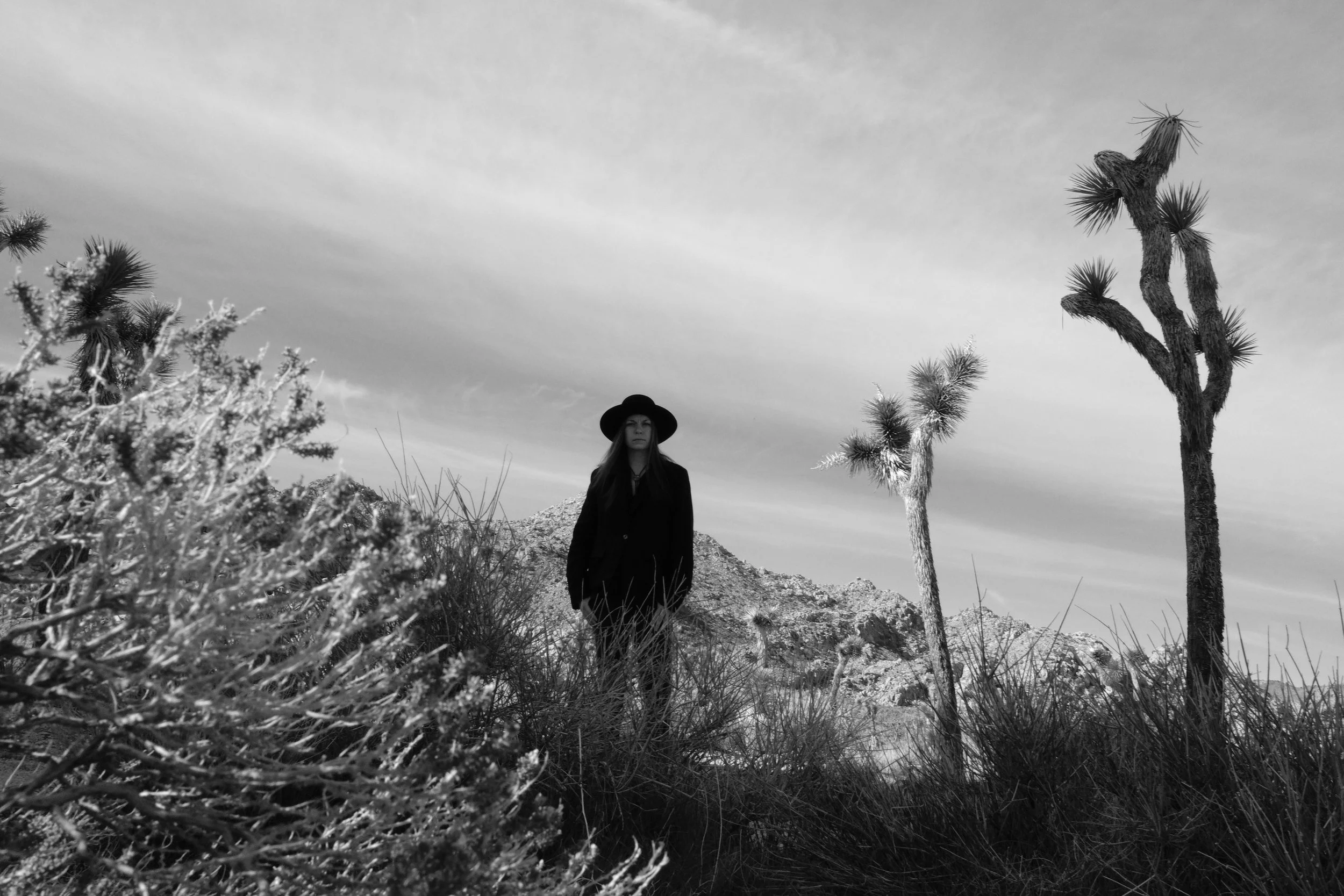 ReneeMaskin_JoshuaTree.jpg